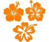 sticker_fleur_d_hibiscus_03415.jpg