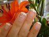 ongles sylvaine.jpg