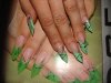 DSC00750.jpg