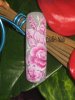 05 2011 Bleu +capsule epinture 008e.jpg