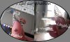 SDC10980.jpg