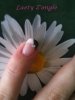 ongle.jpg