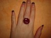 DSC03129.jpg