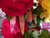 pose crayon (2).jpg