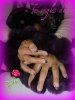 zebre rose 001.jpg
