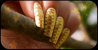dore_2.png