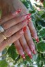 DSC_1903.jpg
