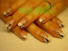 DSC00335.jpg