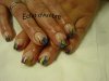DSC00355.jpg