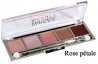 Paris AX palette Rose pétale.jpg