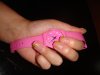 DSC01742.jpg
