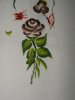 entrainement sur papier (2).jpg