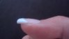 DSC01498.JPG