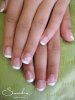 Shellac.jpg