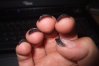 DSCF4237.jpg