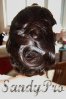 chignon 2.jpg