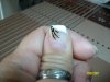 IMGP0457.jpg