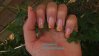 DSCF3954.jpg