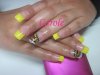 IMG_2973prot.jpg