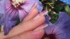 DSCF4009.jpg