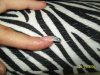 100_5063.jpg