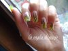 DSC02784.jpg