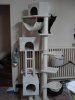 DSC06000.jpg