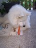 100_6173.jpg