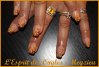 IMG_5106 petite.jpg