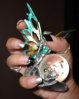 DSC03395.jpg