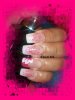 100_3246 - Copie.jpg