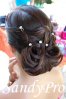 chignon 1 (1).jpg