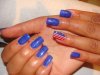 DSC01843.jpg