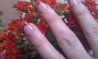 IMAG0727.jpg