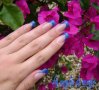DSC03076.jpg