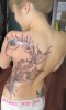 phoenix-tattoo-designs.jpg