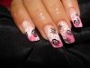 DSC01912.jpg