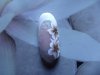 DSCF8403.jpg