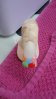 ongles 05 septembre 2011 005.jpg