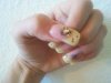 2011-09-09 14.46.52.jpg