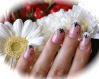 image-2128090658.png