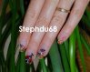 coccinelles (1) stephdu68.jpg