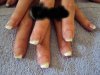 DSC00586.JPG