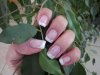 ongles du0911 016.jpg
