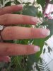 ongles du0911 009.jpg