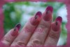 DSC_0008.jpg