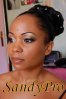 sandypro (3).jpg