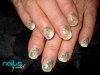 DSC05395.jpg