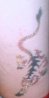 tigre tattoo2.jpg