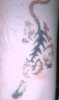 tigre tatto 3.jpg
